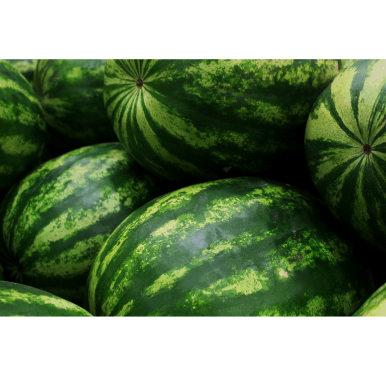 grouped whole watermelons, representing potential for activities to stave off boredome such as working to cut the melon to share with others, or using the imagination to create a fun activity using them, or...you name it.